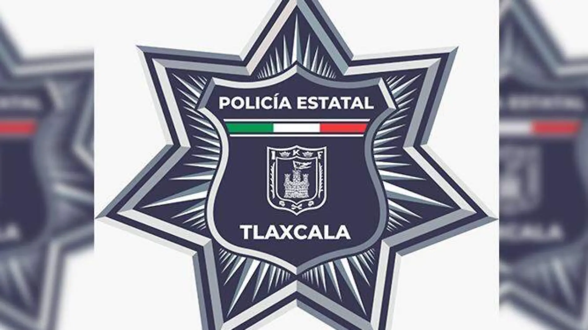 policía estatal